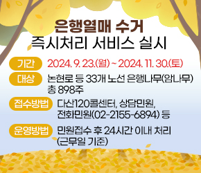 □ 사 업 명: 은행열매 수거 즉시처리 서비스 실시
□ 기 간: 2024. 9. 23.(월) ~ 2024. 11. 30.(토)
□ 대 상: 논현로 등 33개 노선 은행나무(암나무) 총 898주
□ 접수방법: 다산120콜센터, 상담민원, 전화민원(02-2155-6894) 등
□ 운영방법: 민원접수 후 24시간 이내 처리(근무일 기준)